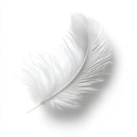 White feather with delicate texture resting lightly on a plain background photo