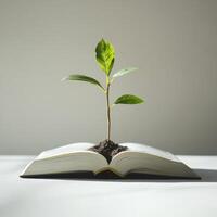 Growing plant emerges from open book symbolizing knowledge and nature in harmony photo