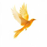 Bright yellow bird in mid-flight against a white background showcasing its graceful wings and vibrant color photo