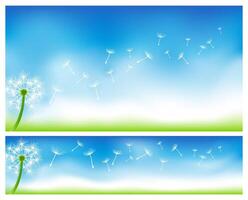 Dandelion illustrations for banners and background illustration vector