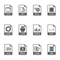 File format icon set vector