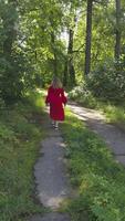 A woman in a red dress leisurely walks along a sunlit, winding path through a vibrant, green forest. The scene conveys the serenity of the nature around her as she moves further from the camera. video