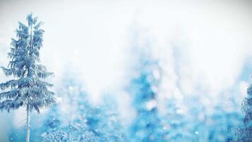 3D Animation Winter Background of a Group of Pine Tree in Snowstorm video
