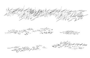 Hand drawing grass set illustration vector