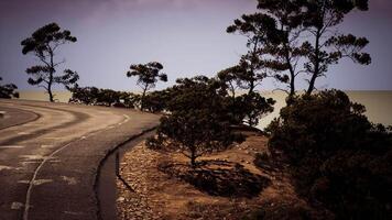Scenic view of winding road surrounded by trees at coastal hillside video