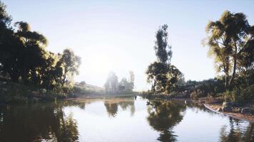 Serene river landscape reflecting trees under a clear sky at dawn video