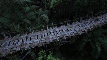 Wooden bridge connecting paths in the lush Colombian jungle during twilight video