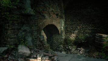 Antique stone archway with plants in an abandoned structure at dusk video