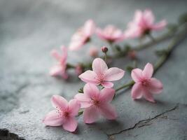 Fresh pink flowers arranged on a rustic grey surface for a simple decoration photo