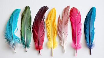 A row of colorful feathers, including blue, green, yellow, and pink photo