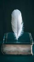 A feather is on top of a book photo
