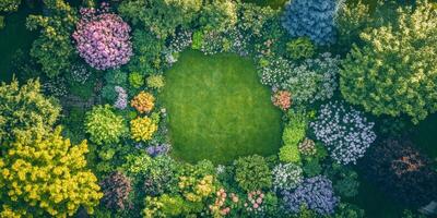 A large circle of grass surrounded by trees photo