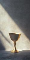 A gold cup sits on a grey wall, with a light shining on it photo