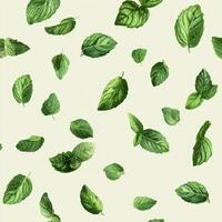 A pattern of green leaves is scattered across a white background photo