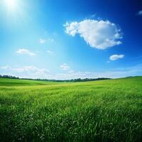 A large field of grass with a blue sky in the background photo
