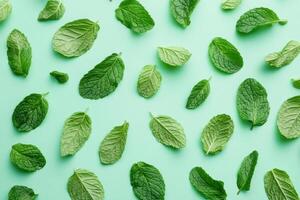 A green leafy plant with many leaves scattered across a green background photo