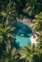 A pool with palm trees in the background. The pool is surrounded by chairs. The chairs are green and are placed around the pool photo