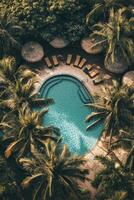 A pool surrounded by palm trees and umbrellas. The pool is surrounded by a lot of trees and there are several umbrellas around the pool photo