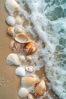 A beach scene with a large number of shells scattered across the sand. The shells are of various sizes and colors, creating a vibrant and lively atmosphere photo