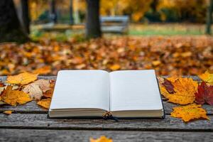 A book is open on a table with leaves on the ground. The book is white and the leaves are orange photo