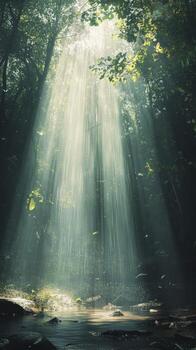 A forest with sunlight shining through the trees. The light is bright and warm, creating a peaceful and serene atmosphere photo