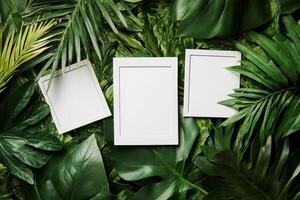 Three white frames are on a green background. The frames are empty photo