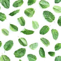 A close up of green leaves with a white background. The leaves are scattered all over the image, creating a sense of abundance and freshness photo