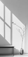 Minimalist Interior with Sunlit Shadows and Elegant Vase photo