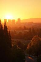 Scenic Sunset Over Urban Landscape with Silhouetted Trees photo