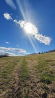 Sunlit Meadow with Blue Sky and Clouds Captured on a Clear Day in a Serene Countryside Landscape photo