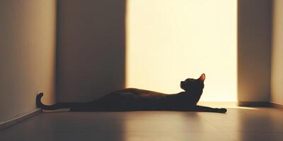 un negro gato estiramientos en el calentar luz de sol, fundición un sorprendentes silueta en contra un minimalista pared en un moderno hogar. foto