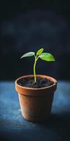 Close up of a small green plant in a terracotta pot, representing growth and nature's beauty. photo