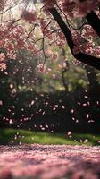 Delicate cherry blossom petals cascade through the air in a serene park, capturing the essence of spring's beauty. photo