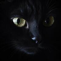This captivating close up of a black cat showcases its striking green eyes and mysterious expression. The dark surroundings enhance its alluring features. photo