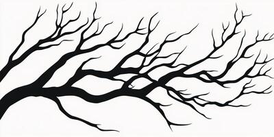 Black silhouette of tree branches on a white background, showcasing nature's intricate patterns and artistic beauty. photo