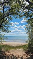 Serene Beach View Framed by Lush Green Trees Under a Clear Blue Sky with White Clouds on a Sunny Day photo