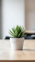 A small potted plant sits on a wooden table photo