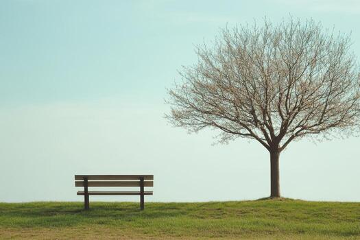 Serene Landscape with a Lonely Bench and Bare Tree Under a Clear Blue Sky in a Peaceful Park Setting photo