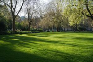Serene Urban Park with Lush Green Grass and Sunlit Trees in a Tranquil City Setting photo