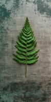 Vibrant Green Fern Leaf on Textured Gray Background photo