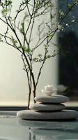Zen-Inspired Still Life with Smooth Stones and Delicate Blossoms in Soft Natural Light photo
