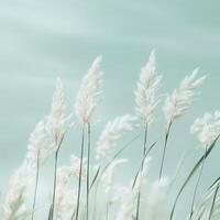 Serene Pampas Grass Against Soft Blue Sky Capturing Tranquility photo