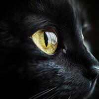 This striking close up captures the intricate details of a black cat's eye, showcasing the vibrant yellow iris and the glossy fur, exuding a captivating and mysterious allure. photo