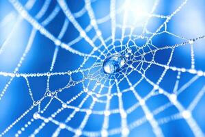 Detailed macro shot capturing morning dew on a delicate spider web illuminated by soft sunlight at dawn in a tranquil setting photo