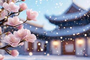 Camellia flowers bloom vibrantly amidst melting snow with traditional architecture and gentle sunlight illuminating the early spring day photo