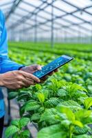 Smart irrigation system enhances water efficiency in greenhouse with AI technology photo