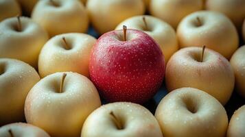 A single red apple captures attention amidst numerous golden apples, showcasing contrast photo