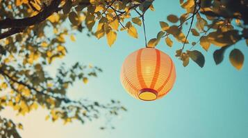 Low angle view of colorful paper lantern hanging from a tree branch against a clear blue sky photo