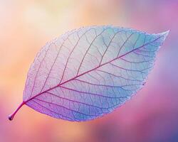 Macro image of translucent autumn leaf with intricate vein patterns and warm gradient background photo