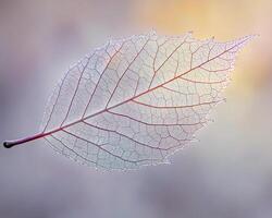 Macro of a translucent autumn leaf with intricate vein patterns and warm gradient background photo